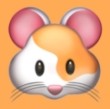 看片APP应用